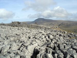 Limestone Pavement and Ingleborough, one of the Yorkshire 3 Peaks