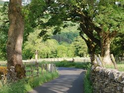 Five minutes walk from Redmire B&B to Buckden village