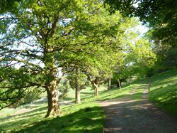 Dales Way joining carriage drive that leads directly to Redmire Farm