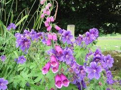 Redmire Farm Garden